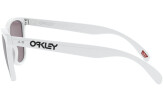 Päikeseprillid OAKLEY Frogskins 35th Anniversary Polished White Prizm Grey 35th Anniversary Polished White Prizm Grey