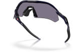 Päikeseprillid OAKLEY RADAR PLATE POLISHED NAVY PRIZM GREY Polished Navy Prizm Grey